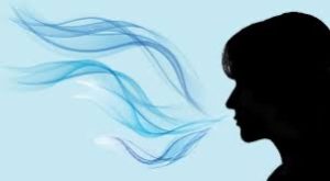 Visualize Breath